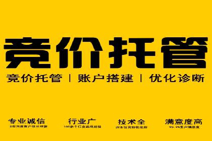 百度推广公司——大品牌背后的广告策略揭秘